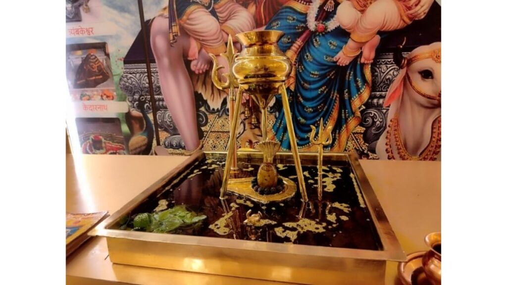 PNN-2025-05-27T121602956