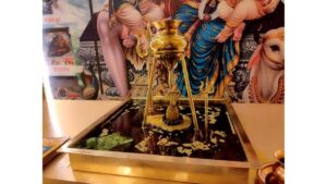 PNN-2025-05-27T121602956