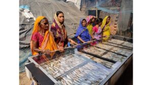 PNN-2025-06-10T132757700