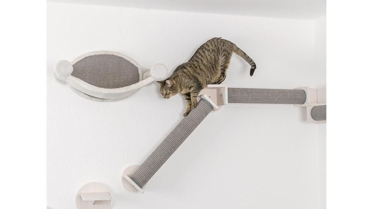 ABK-Imports-Pvt-Ltd-Unveils-Revolutionary-New-Pet-Care-Products-in-India