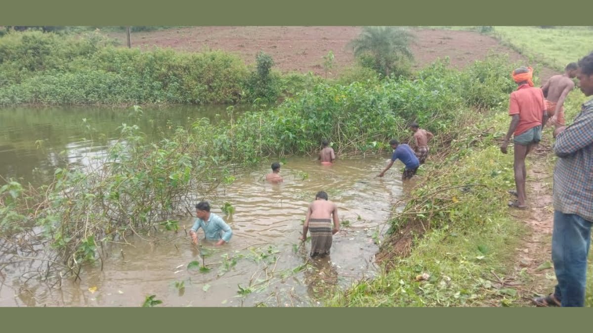 National-Wire-Plus-New