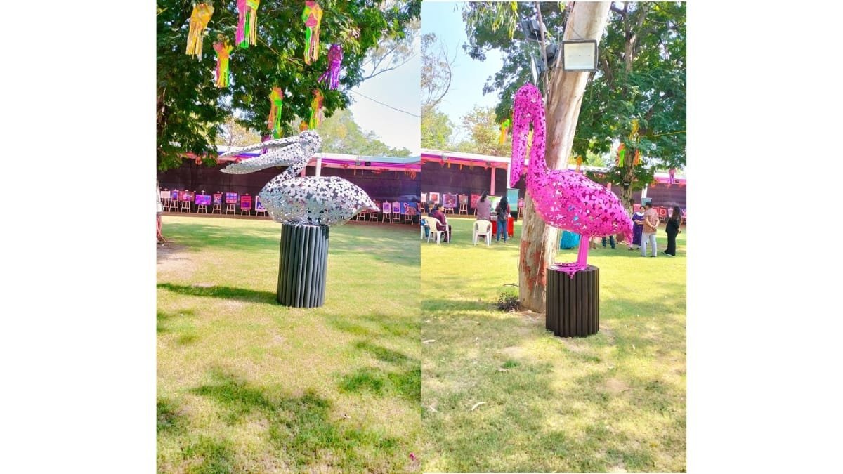 Untitled-design-2024-11-16T155009.341