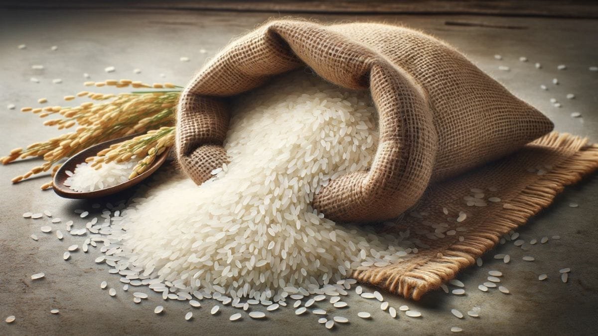 Bagadiya-Brothers-Pvt-Ltd-Wins-Four-Rice-Export-Tenders-with-Bangladesh
