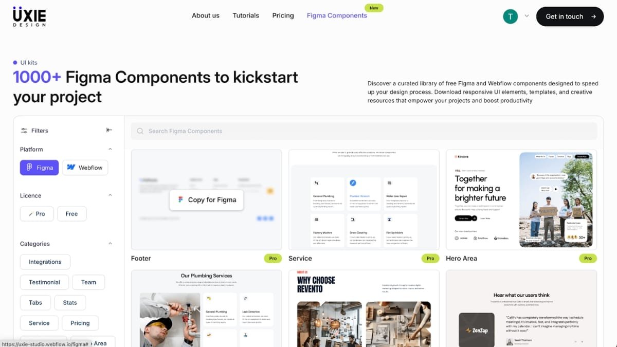 Webflow-Development-Agency