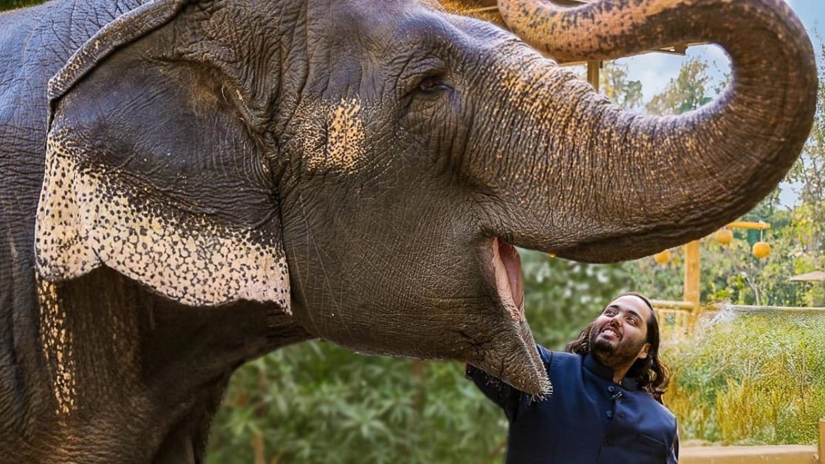 PNN-2025-09-12T183947494