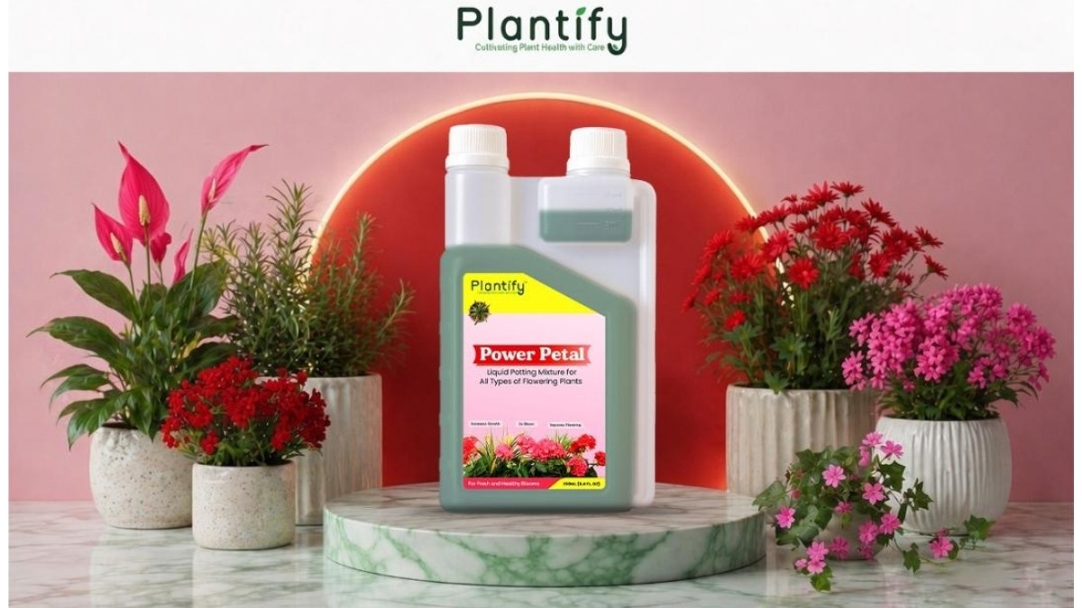 PNN-2026-04-28T143910686