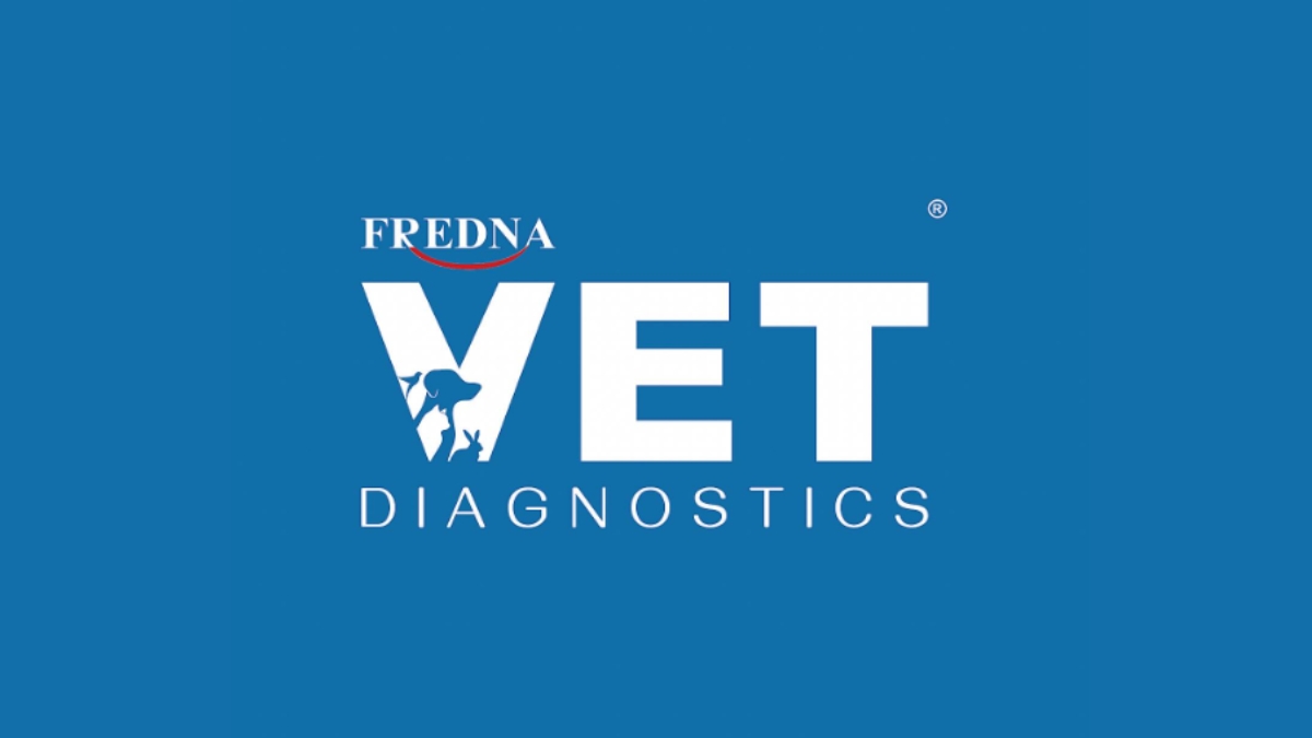 PNN-2026-06-15T154816057